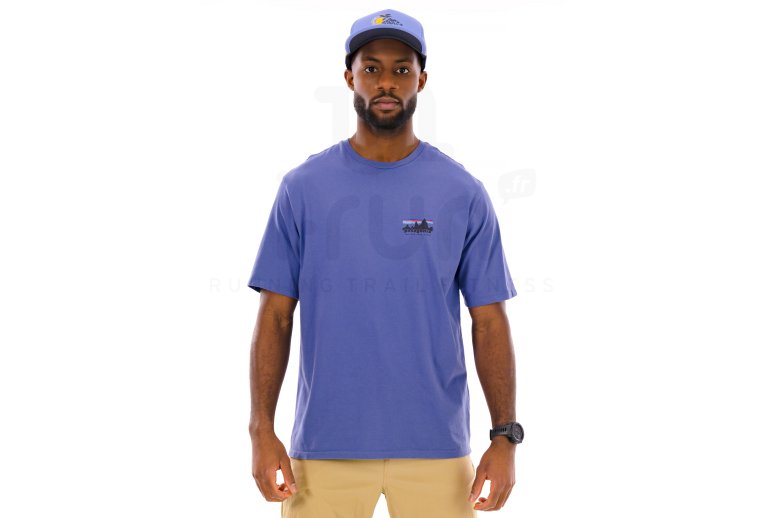 Patagonia 73 Skyline Organic