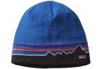 Patagonia Beanie