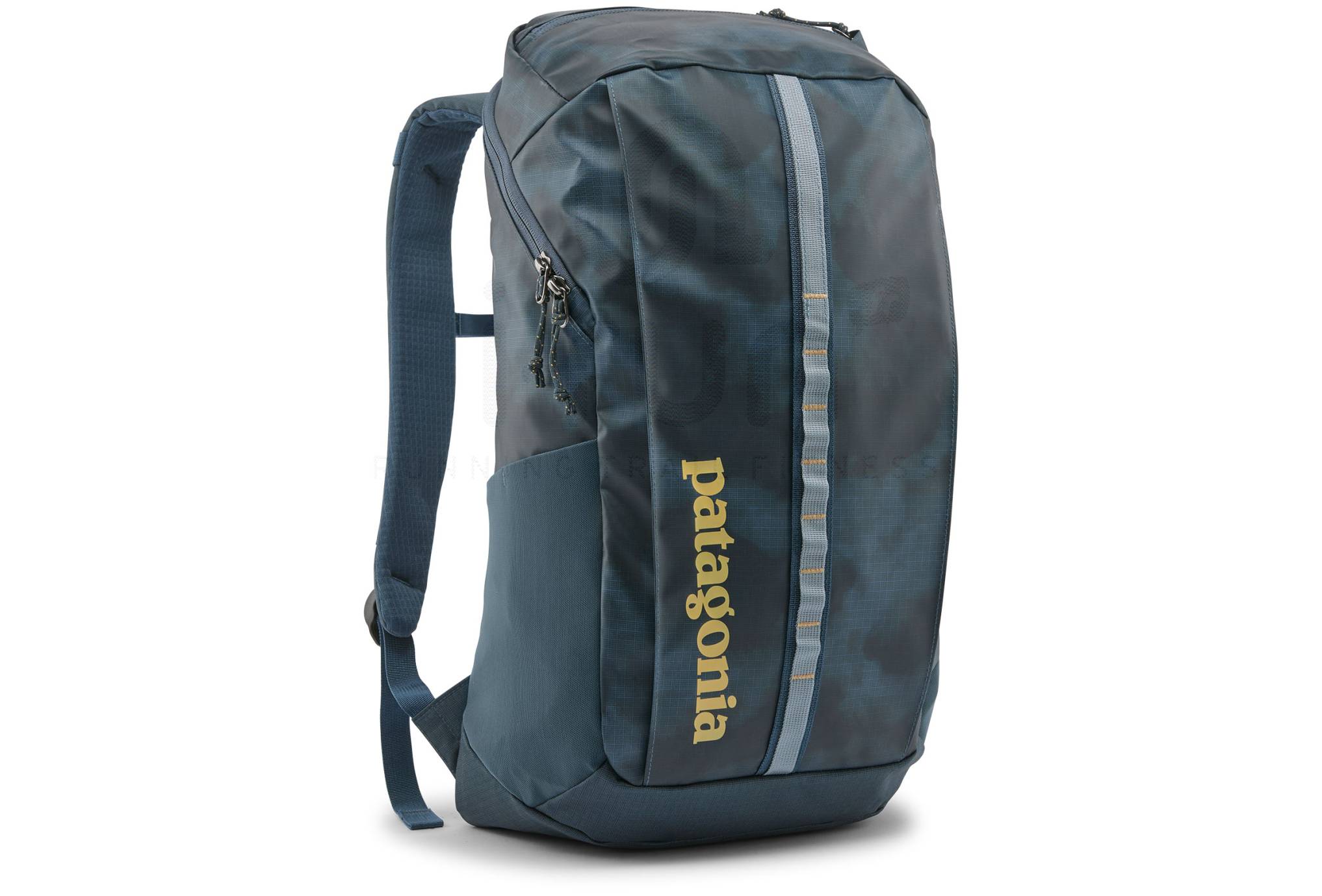 Patagonia Black Hole Pack 25L