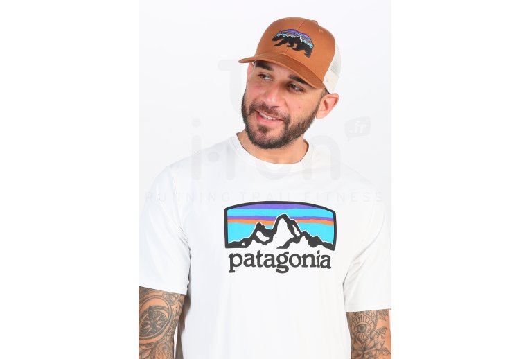 Patagonia Fitz Roy Bear Trucker 