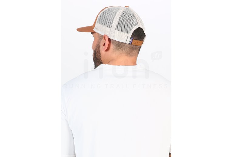 Patagonia Fitz Roy Bear Trucker 