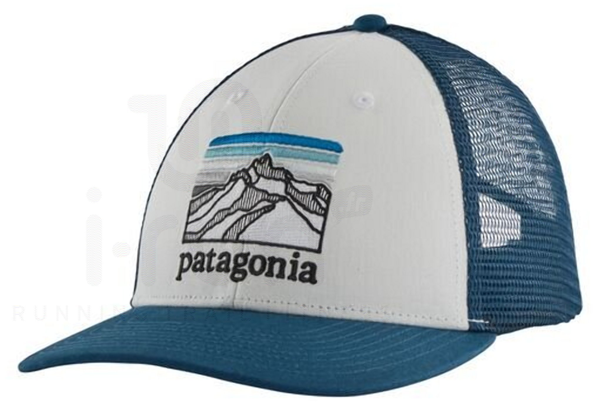 Patagonia Line Logo Ridge LoPro Trucker