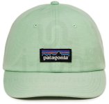 Patagonia P-6 Label Trad