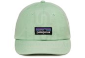 Patagonia P-6 Label Trad 