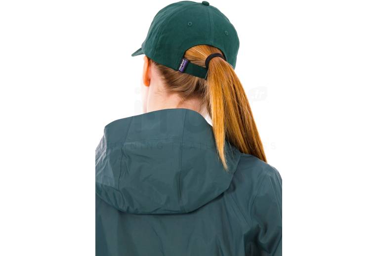 Patagonia P-6 Label Trad 