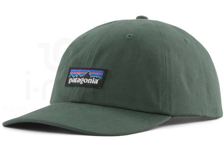 Patagonia P-6 Label Trad