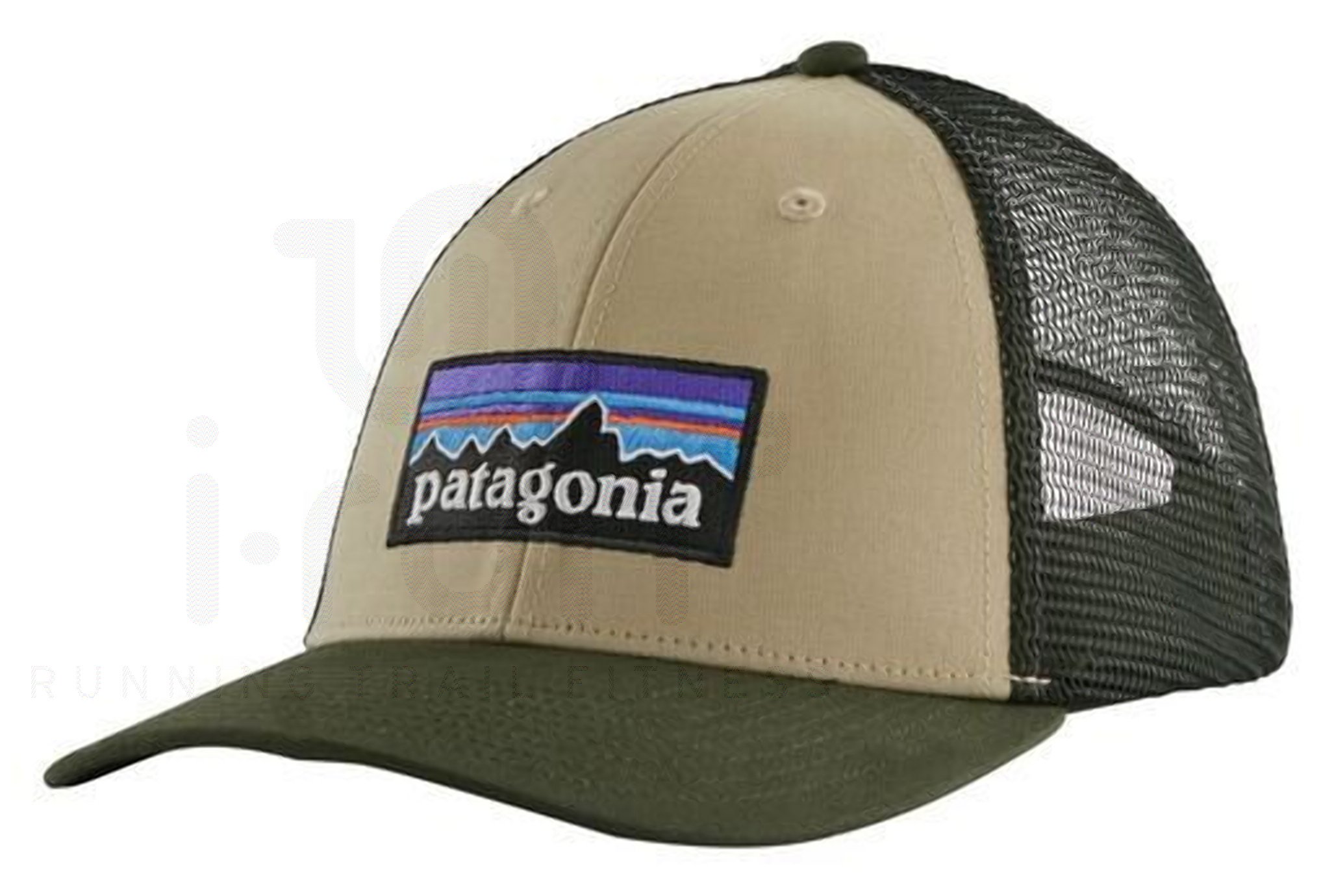 Patagonia P-6 Logo LoPro Trucker
