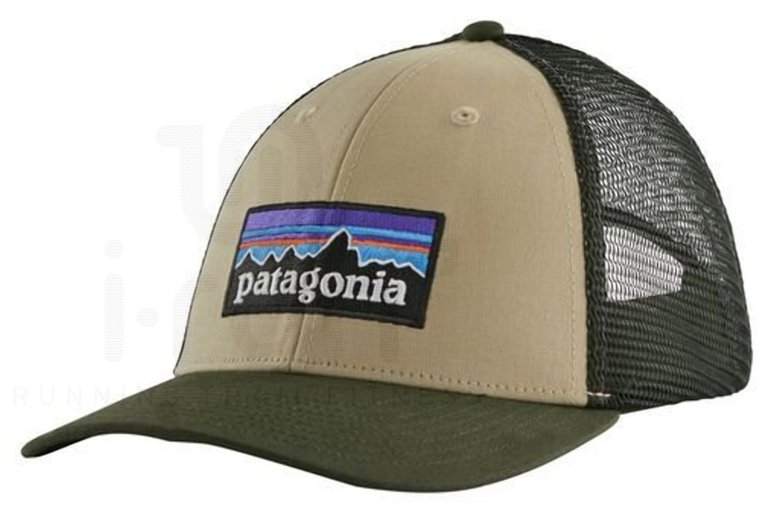 Patagonia P-6 Logo LoPro Trucker 