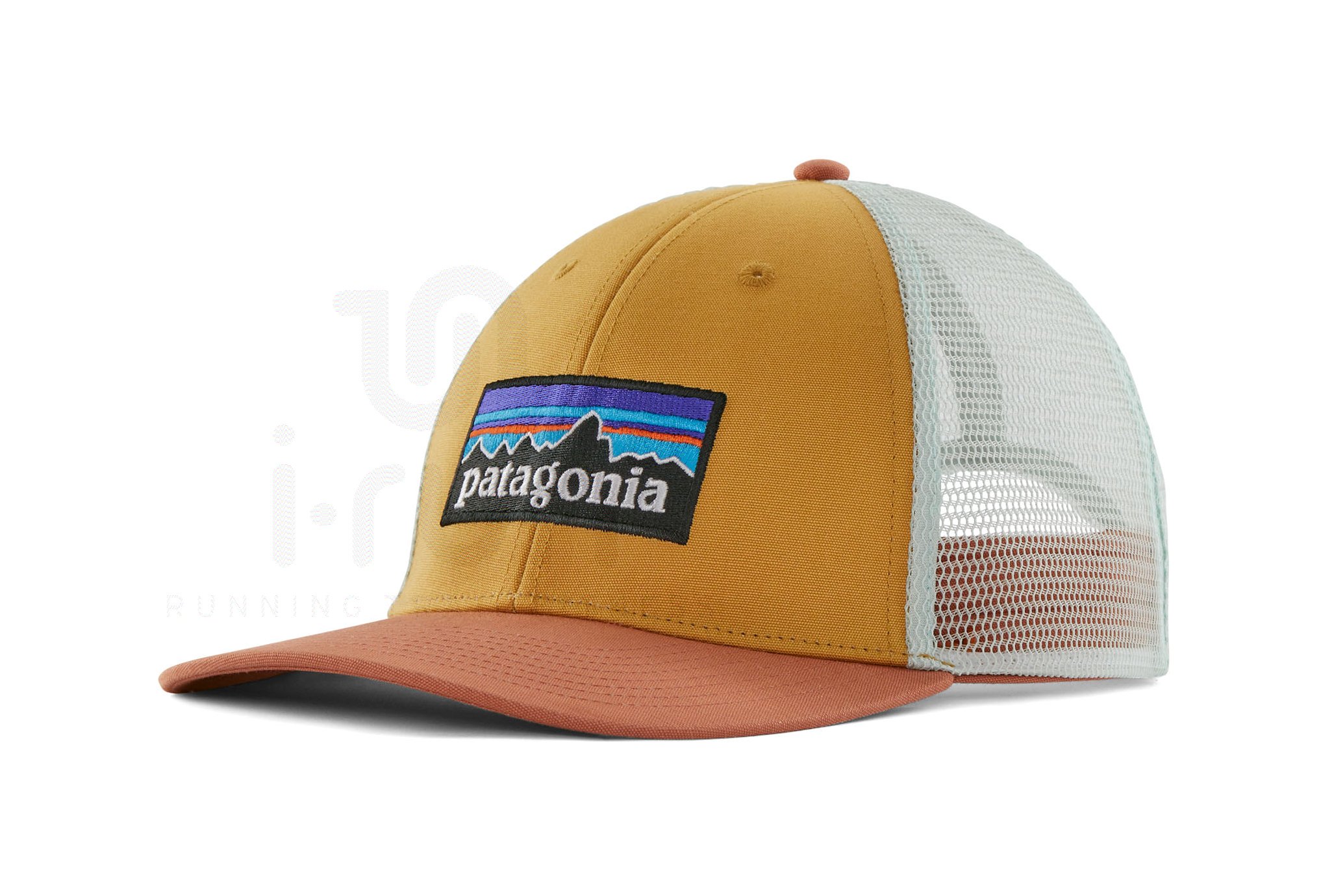 Patagonia P-6 Logo LoPro Trucker
