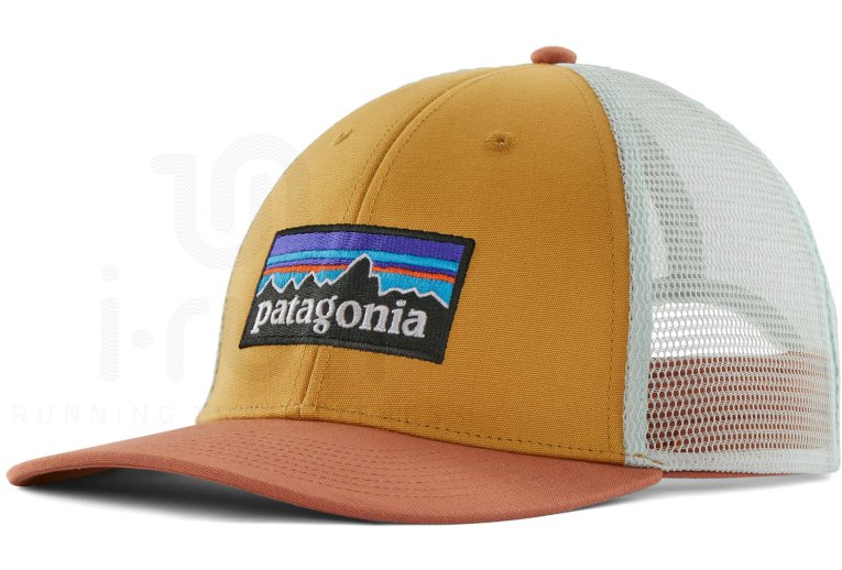Patagonia P-6 Logo LoPro Trucker 