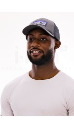 Patagonia P-6 Logo LoPro Trucker