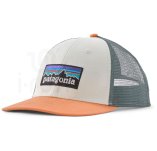 Patagonia P-6 Logo LoPro Trucker