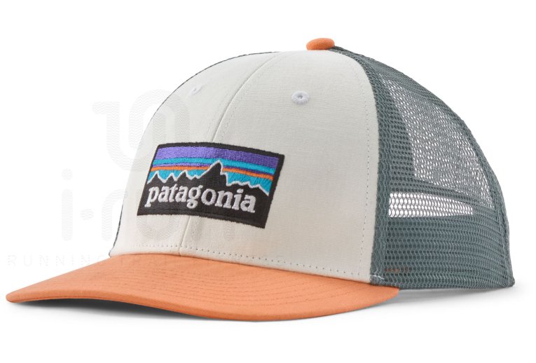 Patagonia P-6 Logo LoPro Trucker