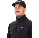 Patagonia P-6 Logo LoPro Trucker