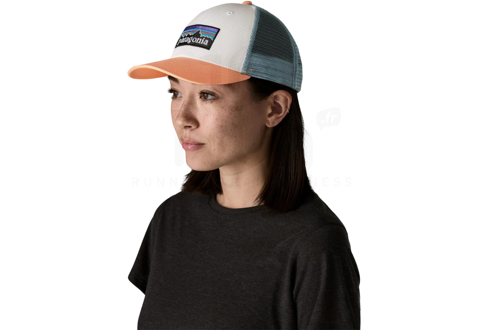 Patagonia P-6 Logo LoPro Trucker