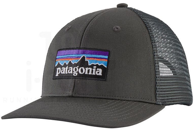 Patagonia P-6 Logo Trucker