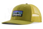 Patagonia P-6 Logo Trucker