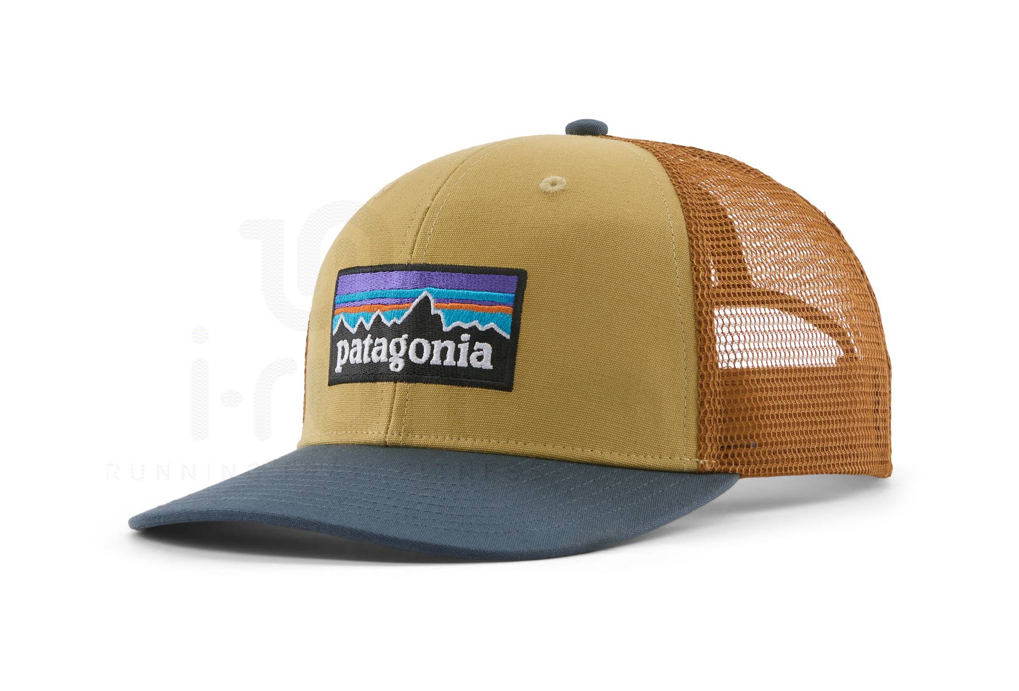 Patagonia P-6 Logo Trucker