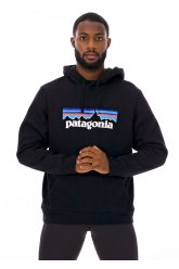 Patagonia P-6 Logo Uprisal