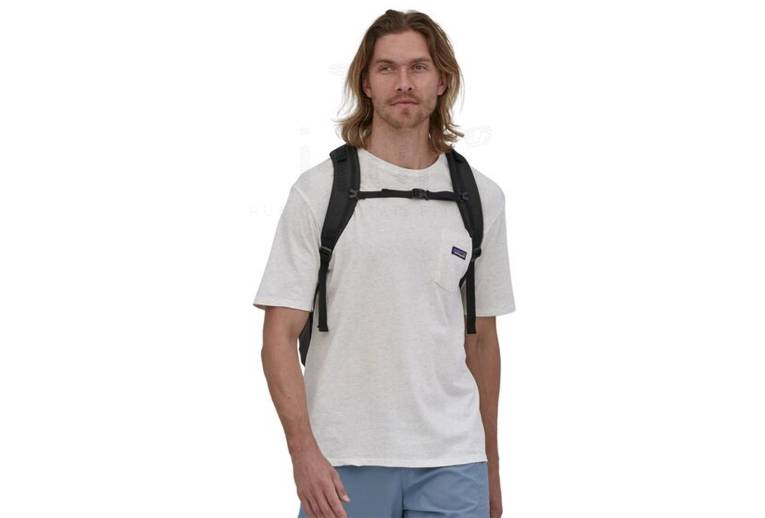 Patagonia Refugio 30L