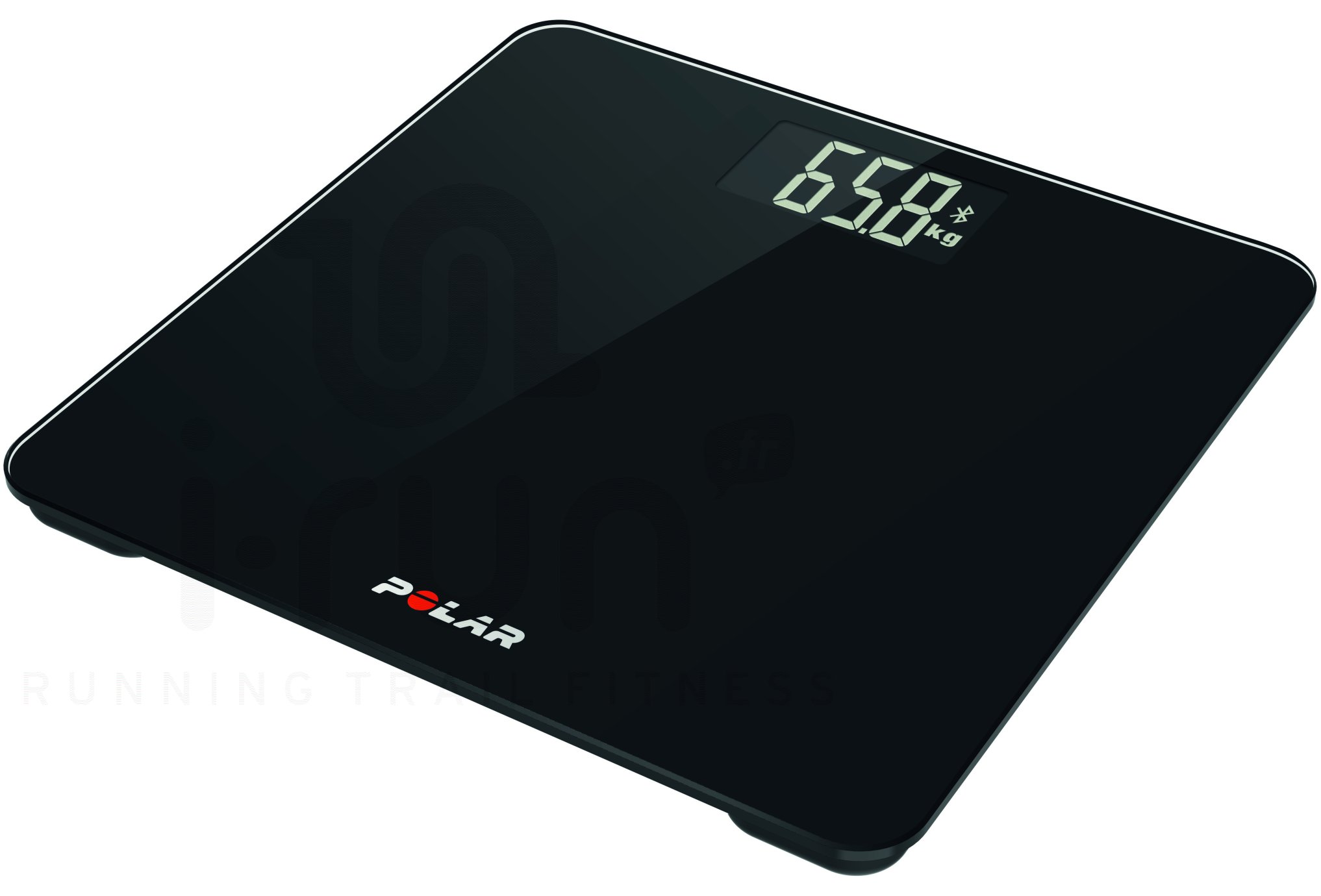 Polar B�scula