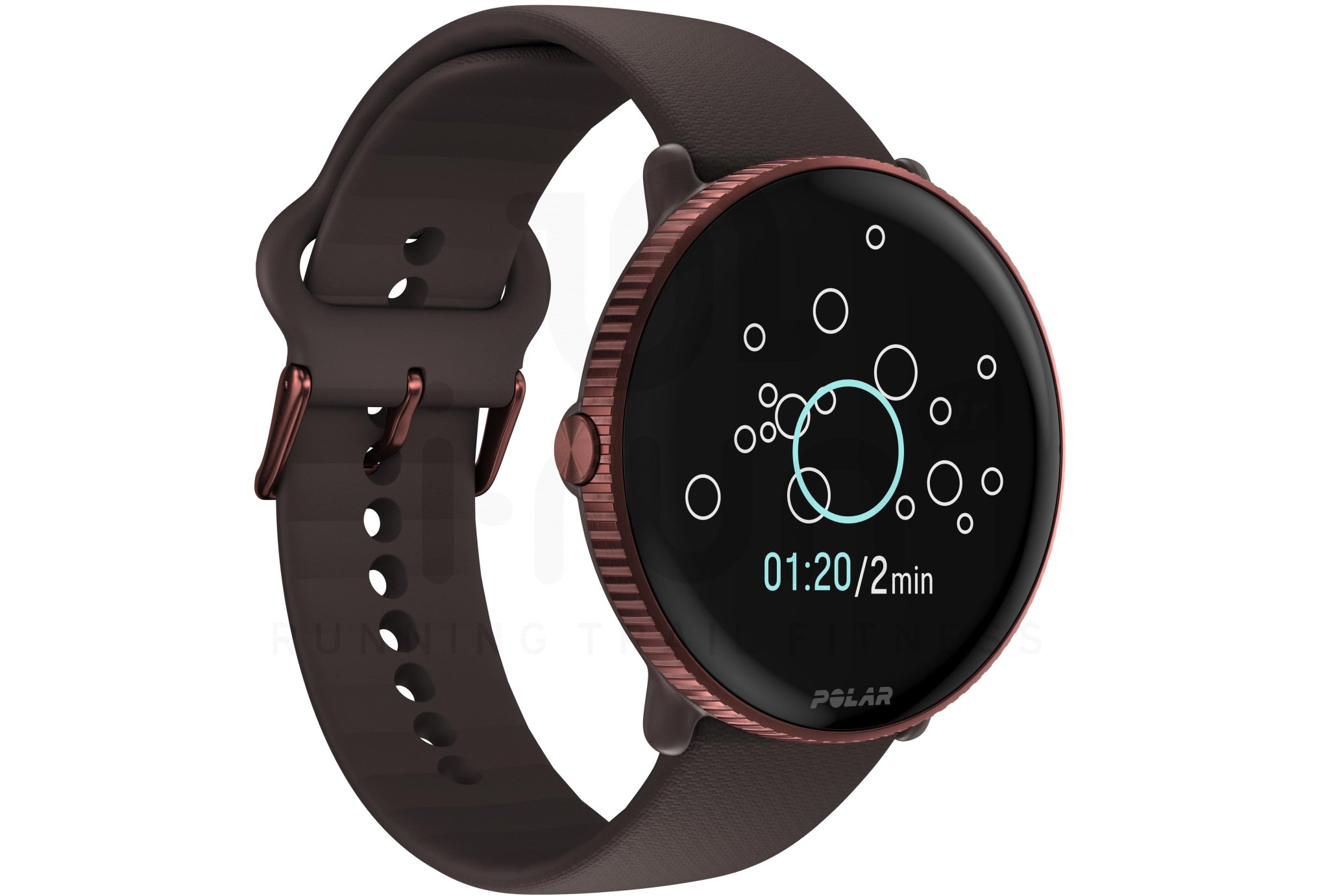 Polar Ignite 3
