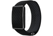 Polar Loop 