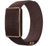 Polar Loop