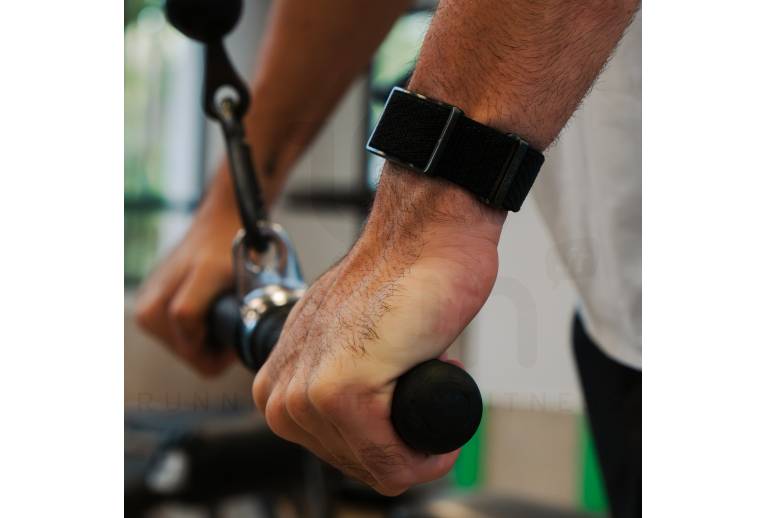 Polar Loop 
