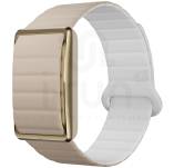 Polar Loop S-M