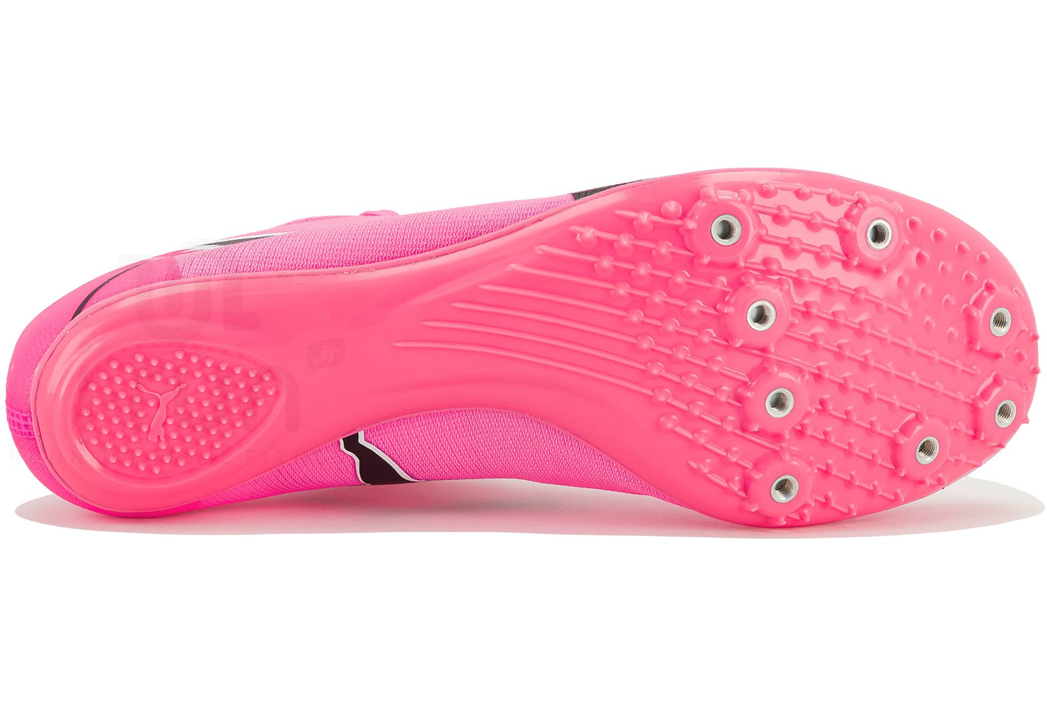 Puma evoSPEED Brush 7