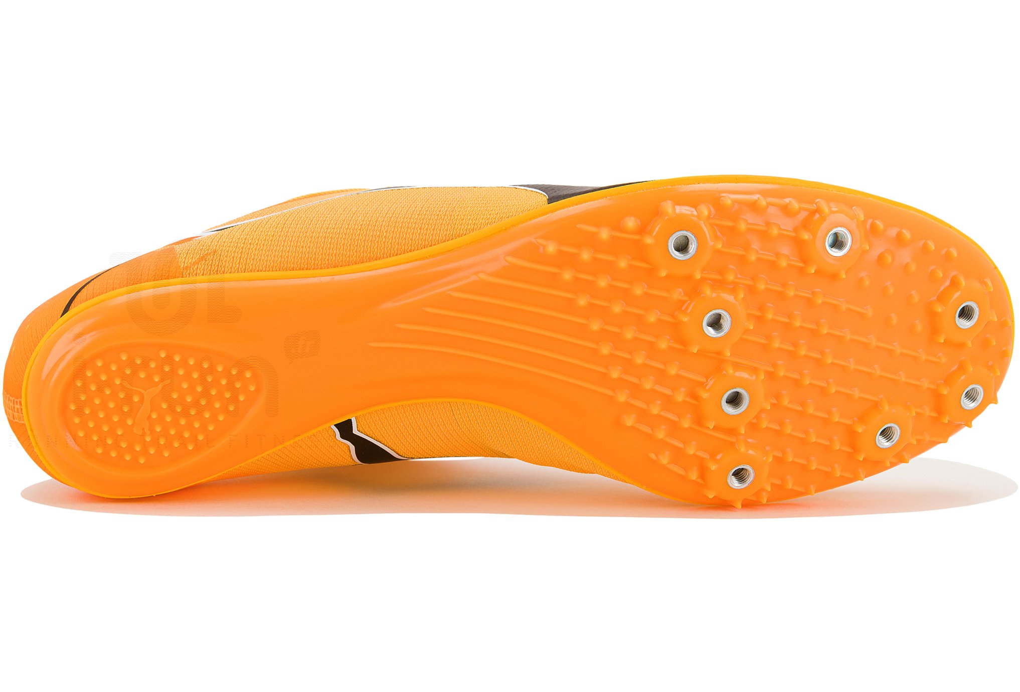 Puma evoSPEED Brush 7