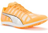 Puma evoSPEED Distance 10