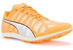Puma evoSPEED Distance 10 M