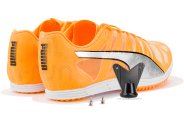 Puma evoSPEED Distance 10 M