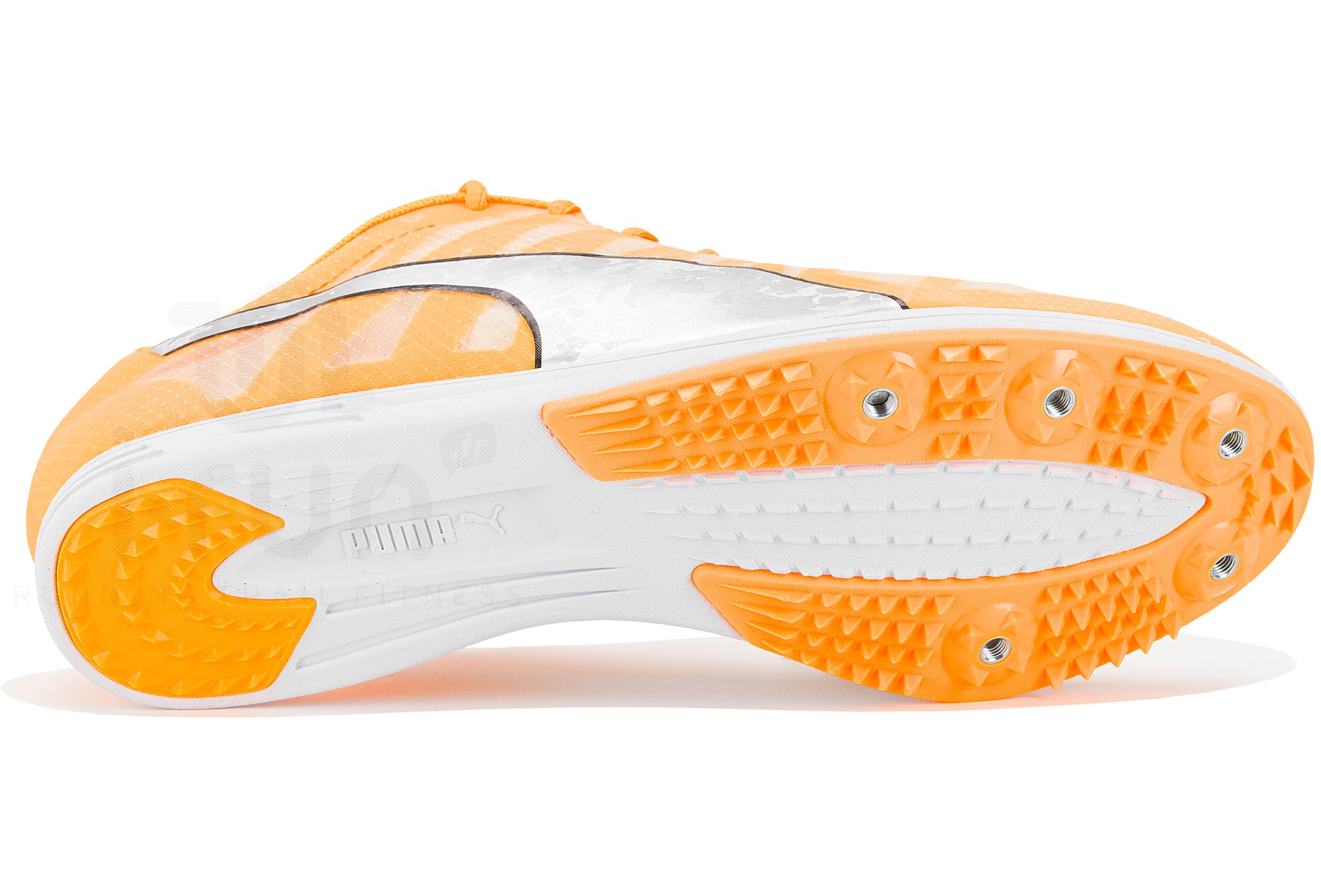 Puma evoSPEED Distance 10 W