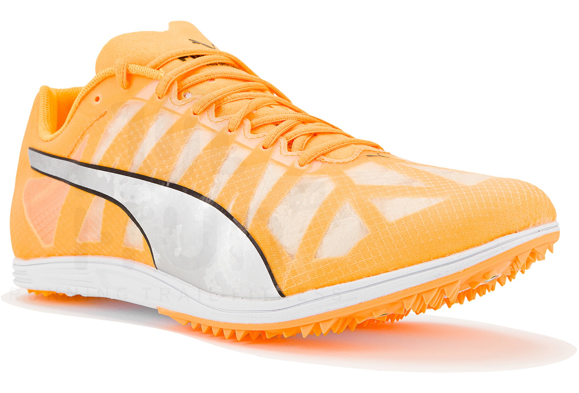 Puma evoSPEED Distance 10 W