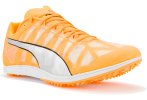 Puma evoSPEED Distance 10 W