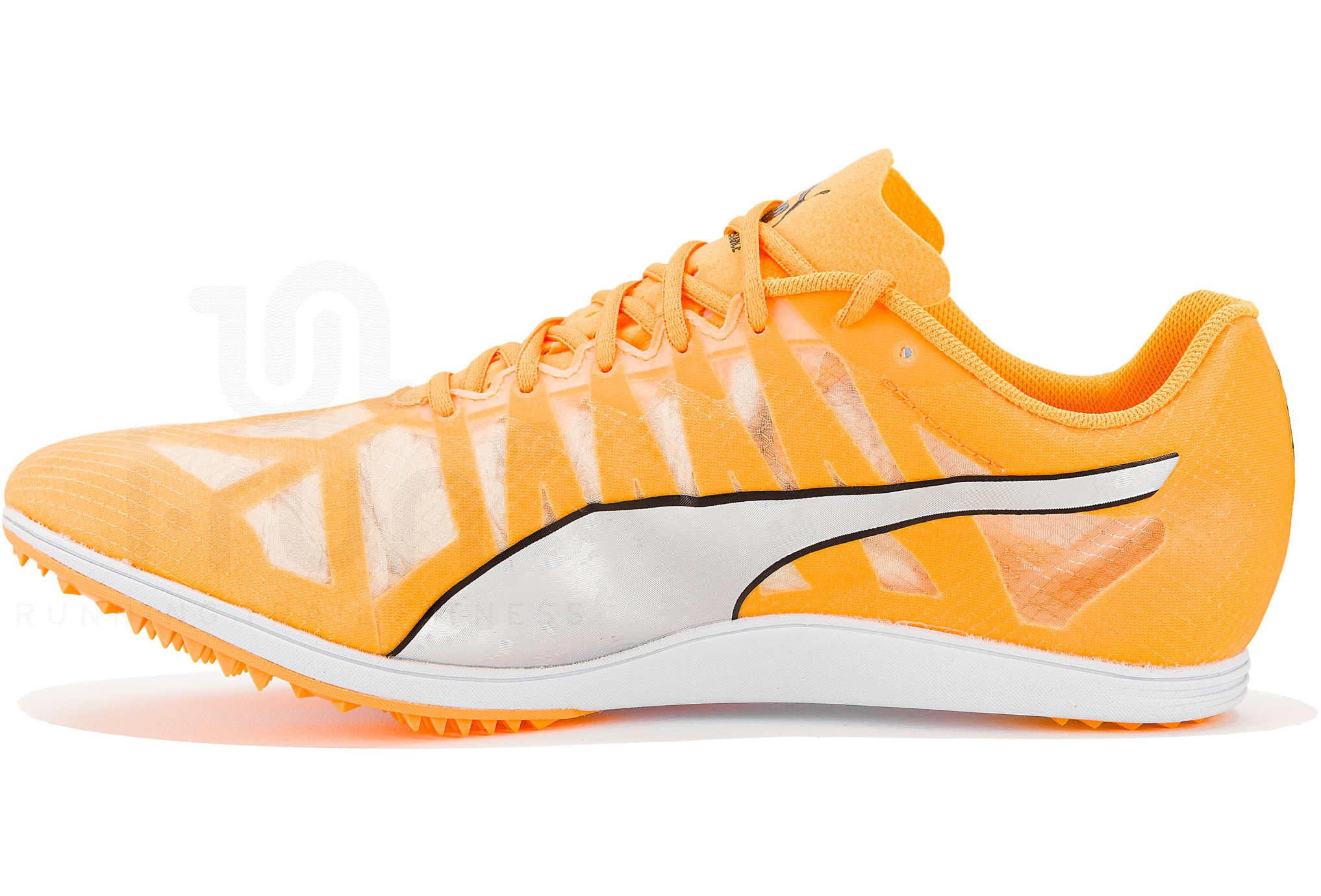 Puma evoSPEED Distance 10 W