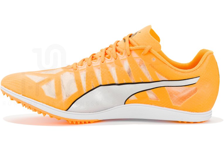 Puma evoSPEED Distance 10 W 
