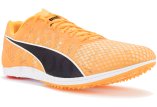 Puma evoSPEED Distance 11