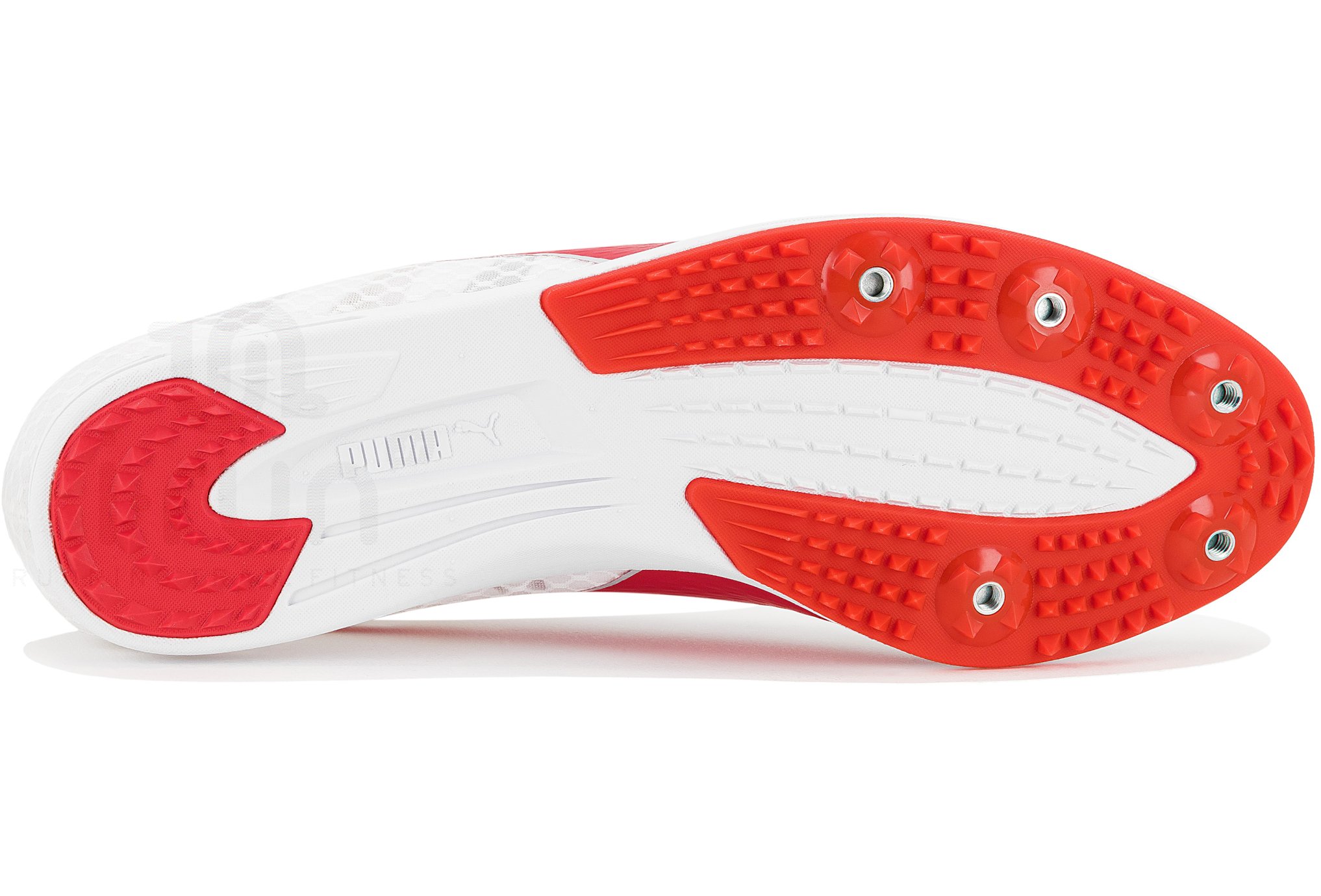 Puma evoSPEED Distance 11 M