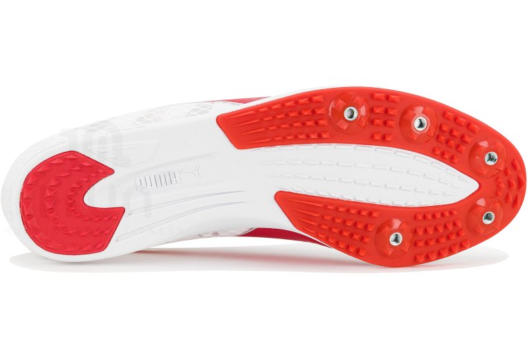 Puma evoSPEED Distance 11 M