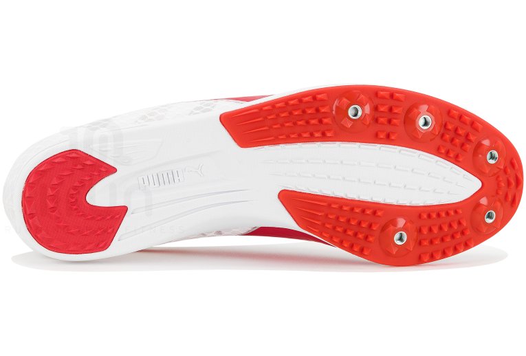 Puma evoSPEED Distance 11 W 