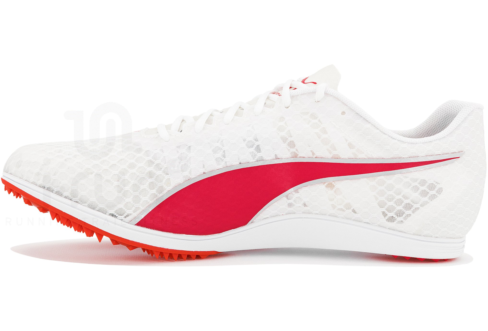 Puma evoSPEED Distance 11 W