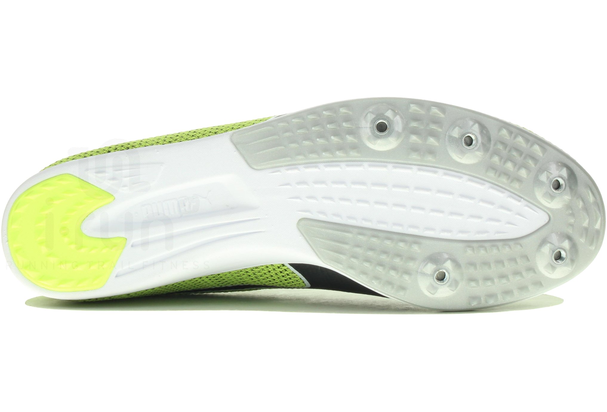 Puma EvoSpeed Distance 8 M 