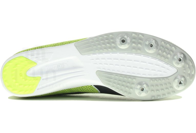 Puma EvoSpeed Distance 8 Herren