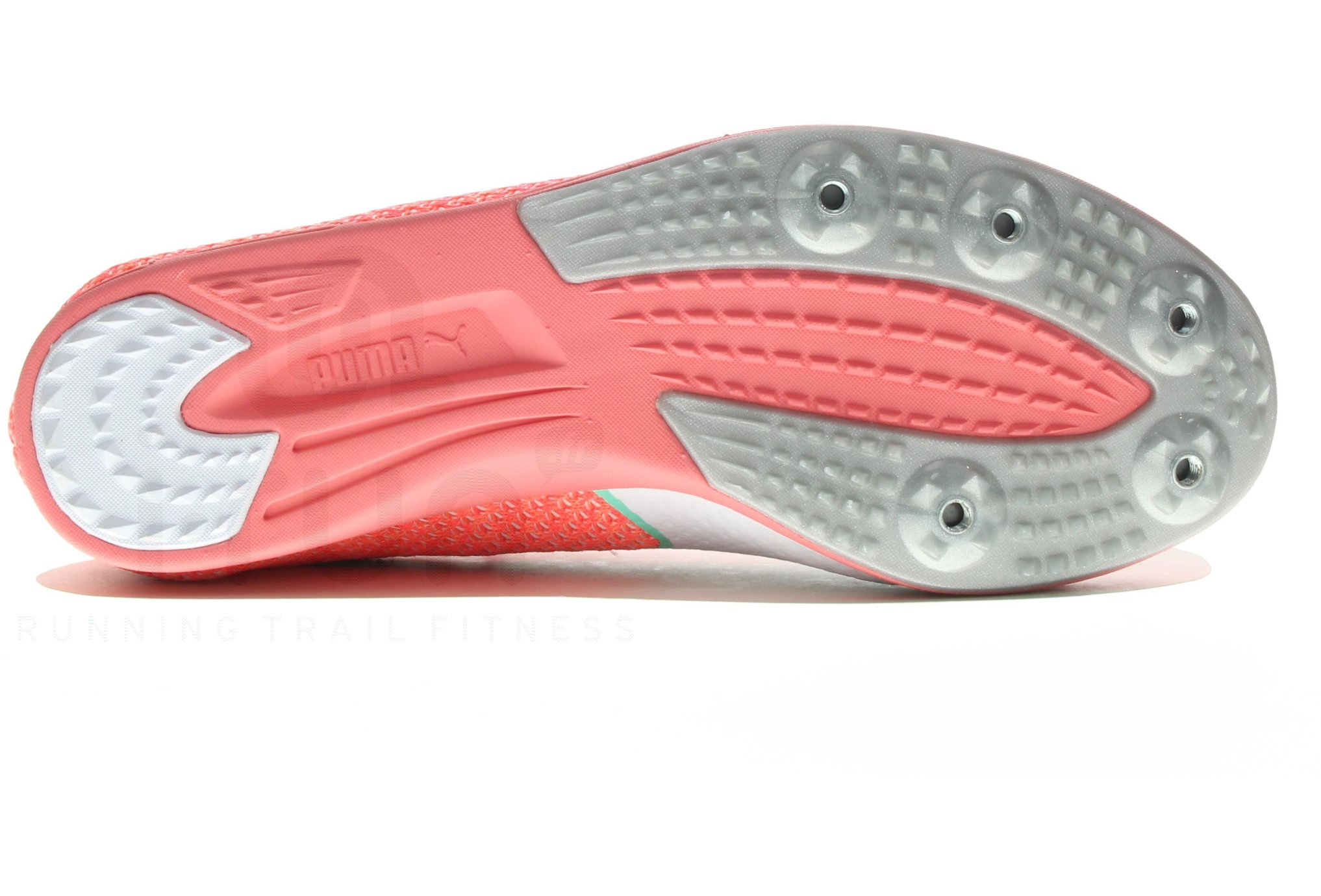 Puma EvoSpeed Distance 8 W 