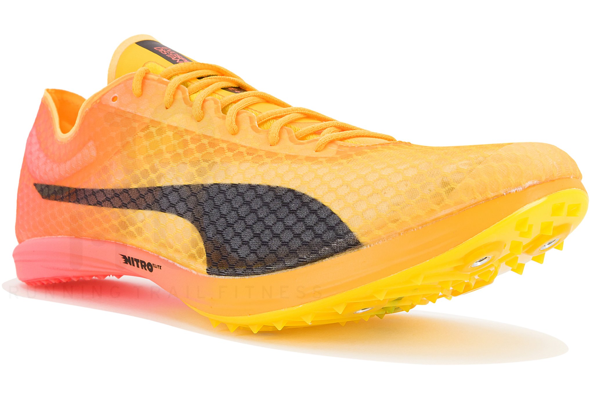 Puma evoSPEED Distance Nitro Elite+ 4 M special offer | Men Shoes
