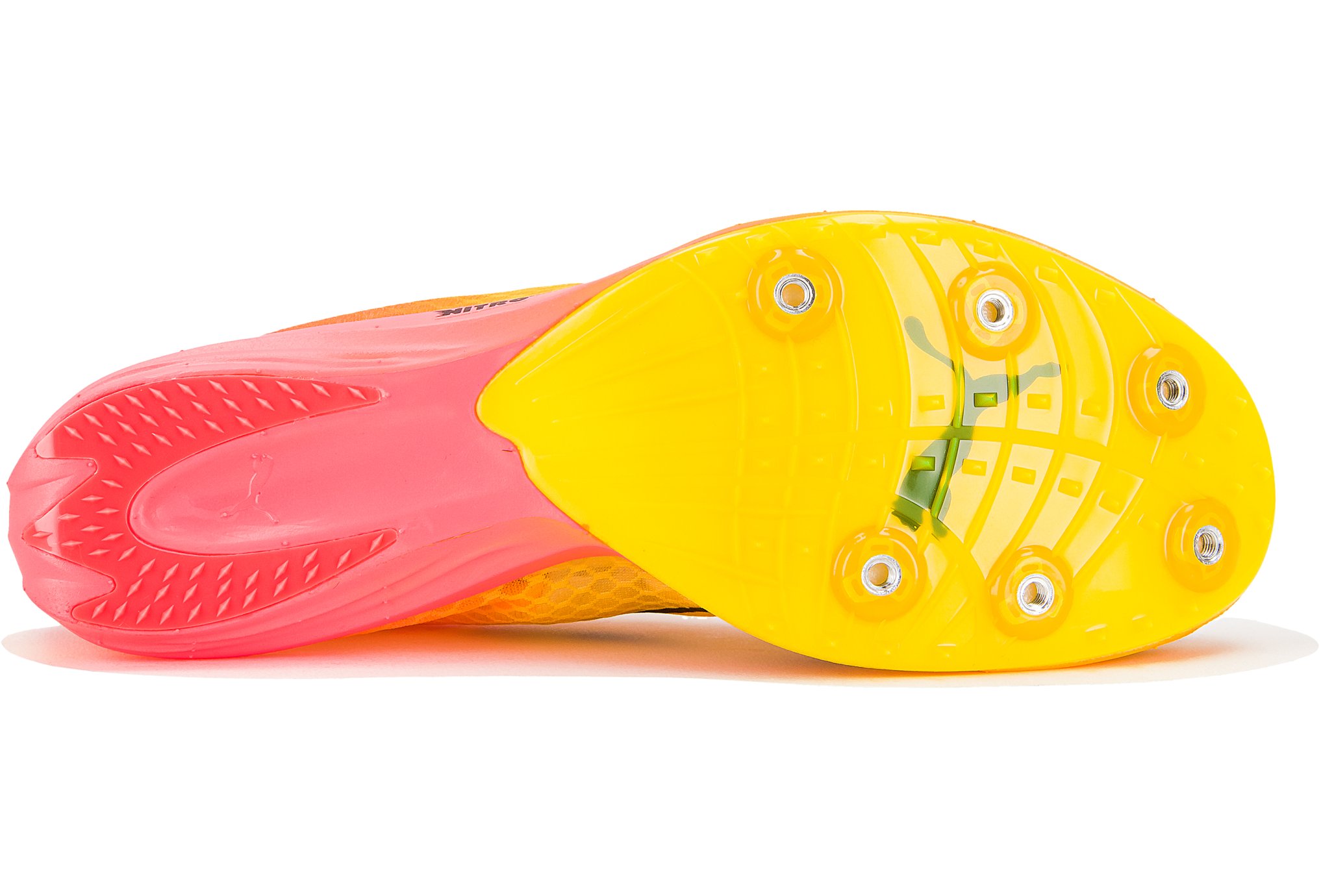 Puma evoSPEED Distance Nitro Elite+ M